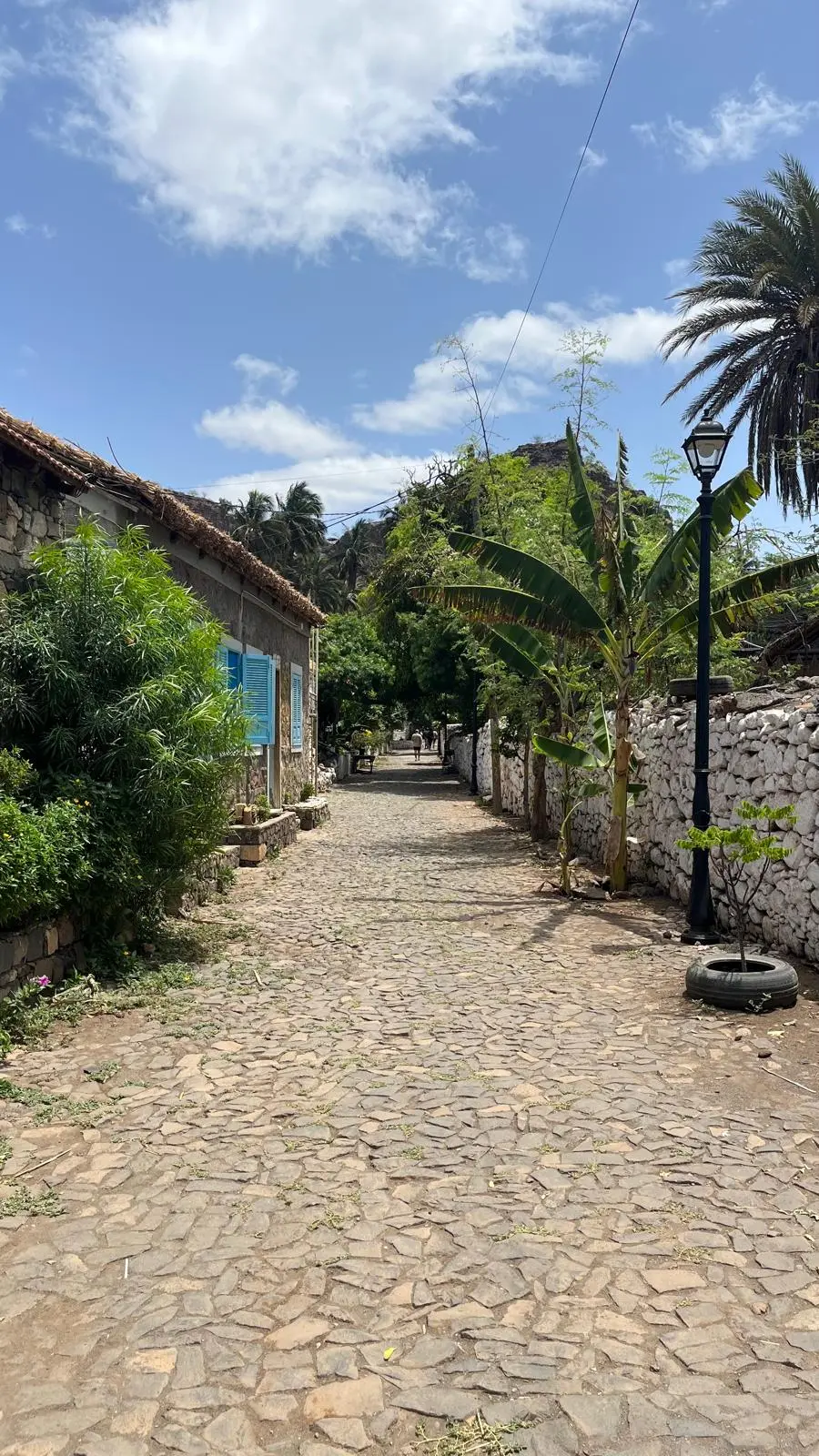 Scène de voyage en Afrique