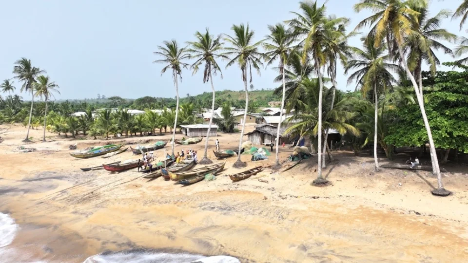 Marché au poisson sur la côte de San Pedro en Côte d’Ivoire