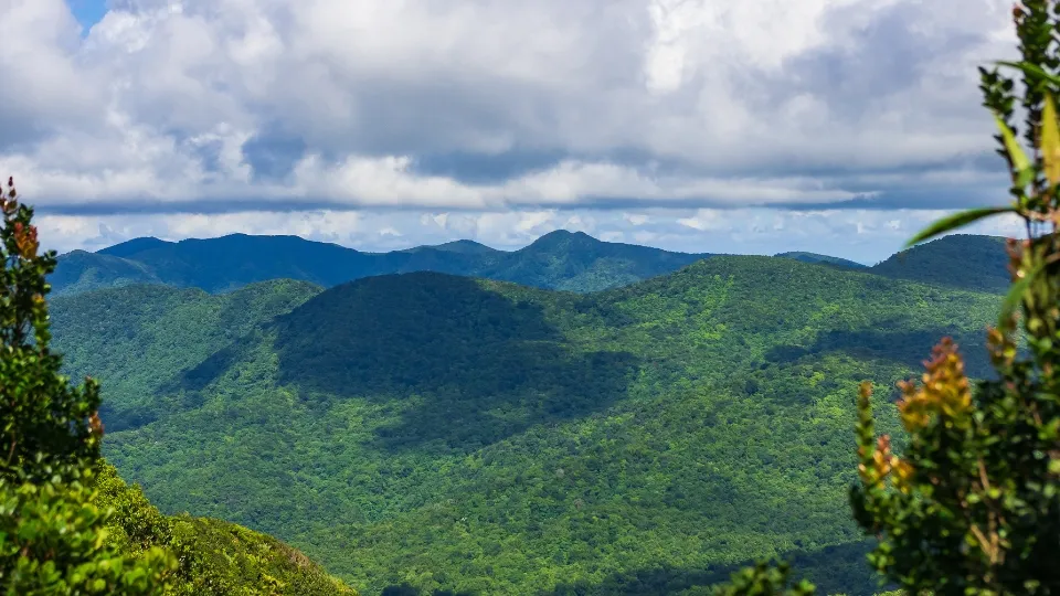 Vue de Basse-Terre en Guadeloupe entre volcans, forêts tropicales et littoral caraïbe