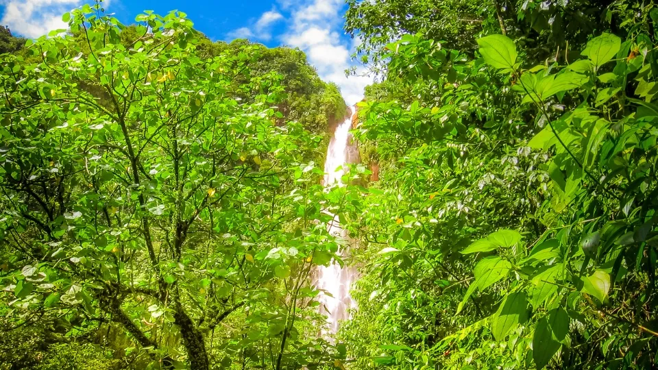 Vallée verdoyante et reliefs de Basse-Terre en Guadeloupe