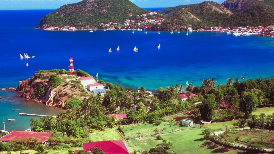 Plage de sable bordée de raisiniers et de barrière de corail à La Désirade