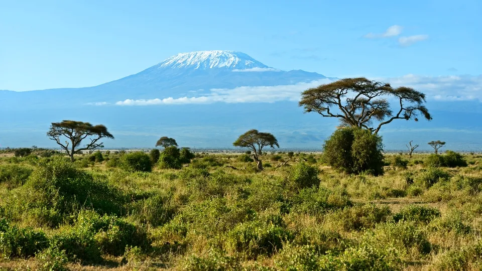 Safari à Amboseli avec 4x4 face aux troupeaux et au Kilimandjaro
