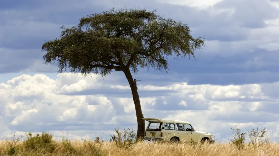 Vie quotidienne et marché local près du Masai Mara au Kenya