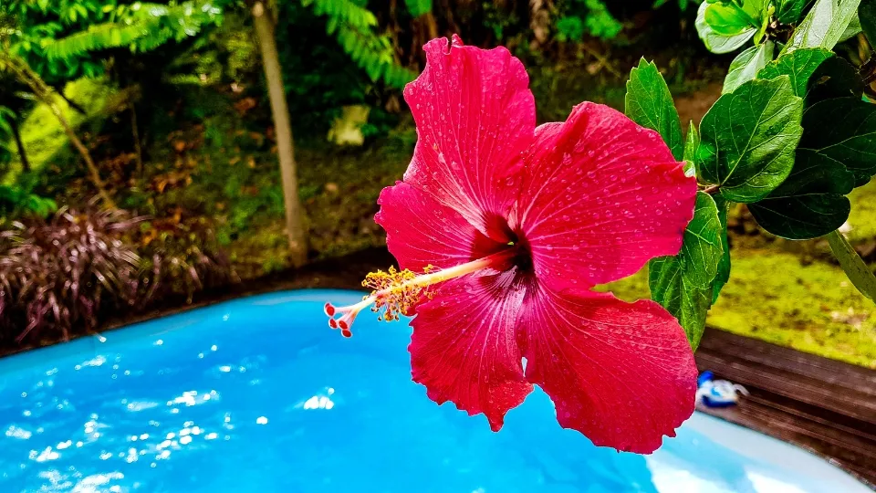 Baie et front de mer dans le Centre de la Martinique