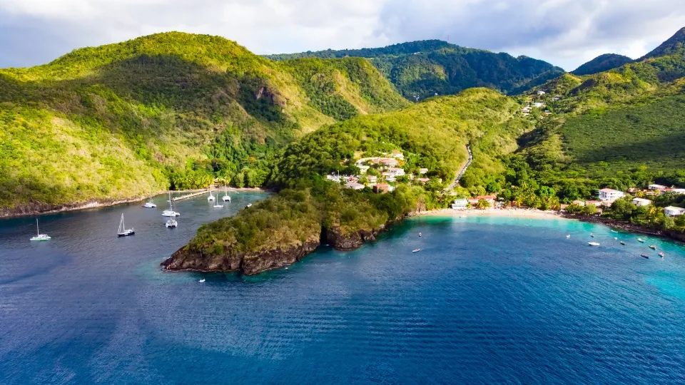 Plage du Nord Atlantique en Martinique, bordée de cocotiers et exposée à l’océan