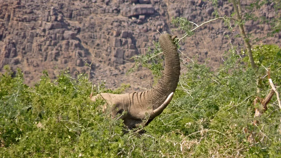 Scène de vie locale dans le Damaraland, village et étal de bord de route