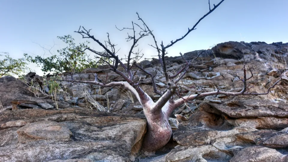 Paysage rocheux et vallée désertique du Damaraland en Namibie