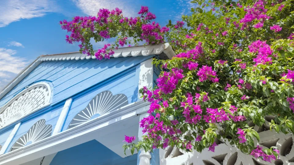 Vue générale de Puerto Plata entre océan Atlantique et collines verdoyantes