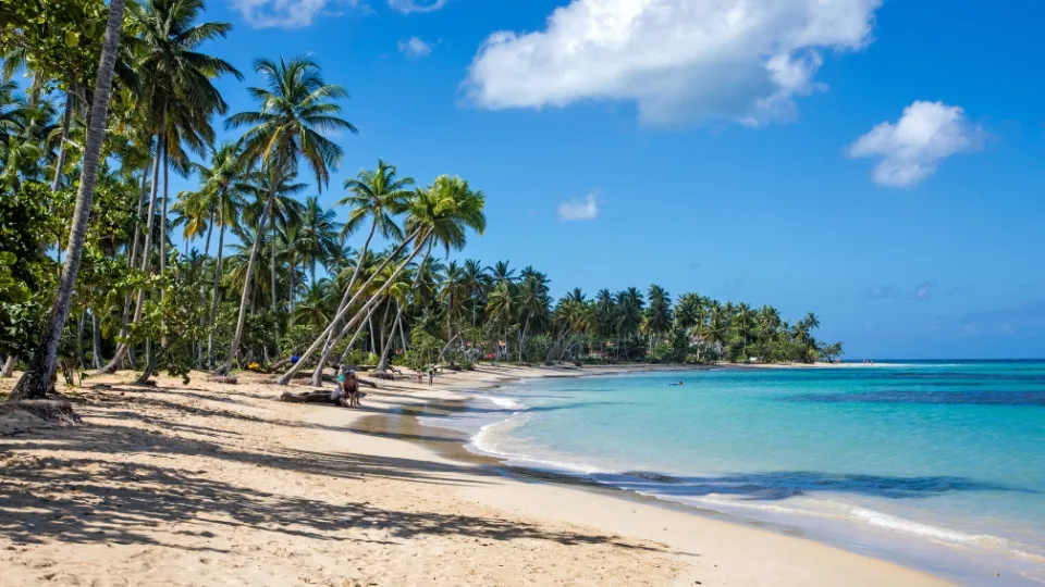 Plage de Samana bordée de cocotiers et d'eaux turquoise