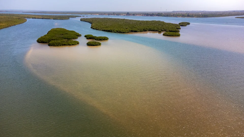 Vue de la Casamance entre fleuve, mangroves et villages