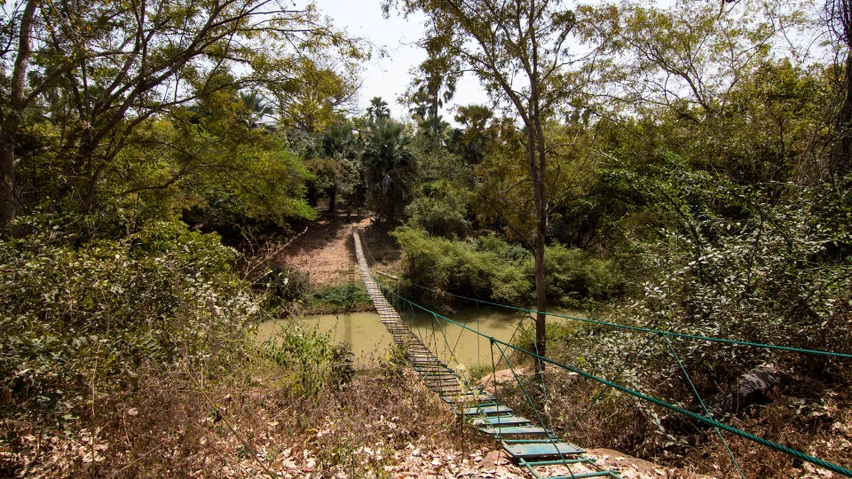 Scène de vie locale dans la région de Kédougou au Sénégal
