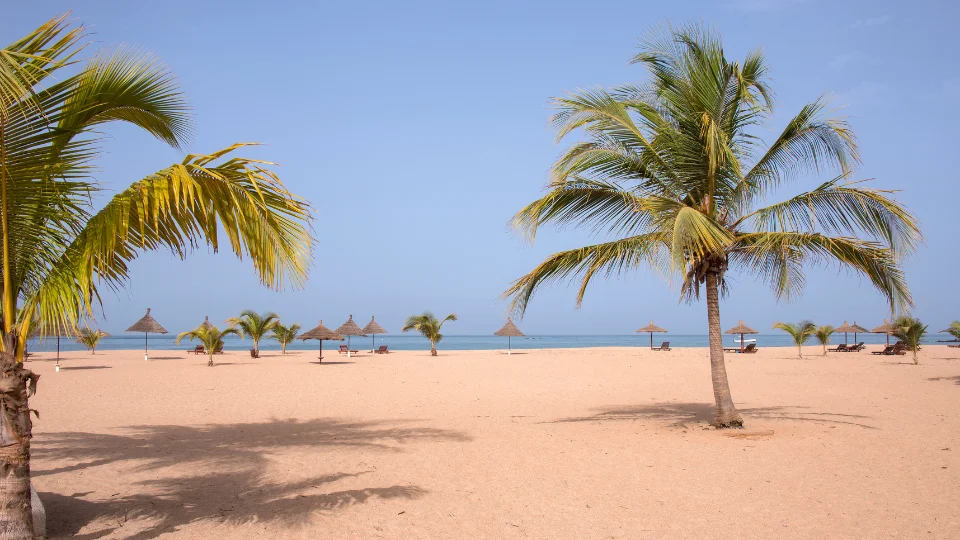 Marché côtier et étals de poissons sur la Petite Côte au Sénégal