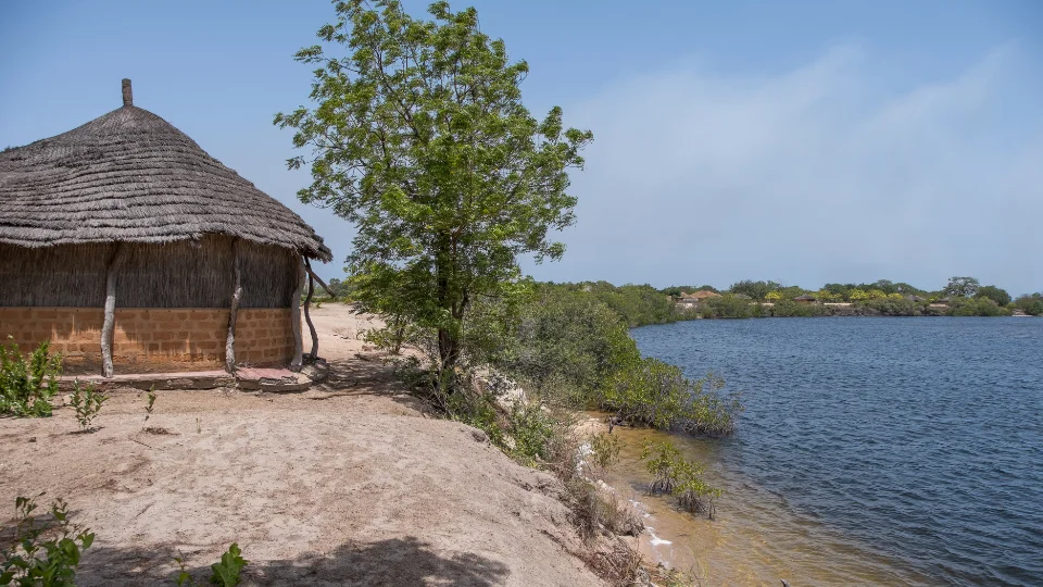 Scène de vie et marché local dans un village du Sine-Saloum au Sénégal
