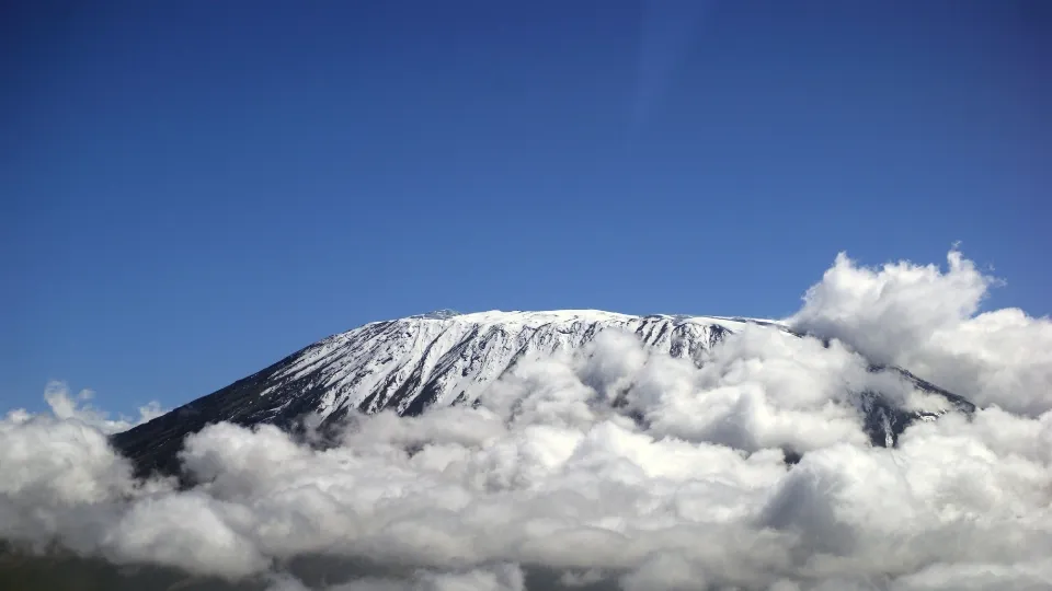 Vue du Kilimandjaro en Tanzanie, entre savane et pentes boisées