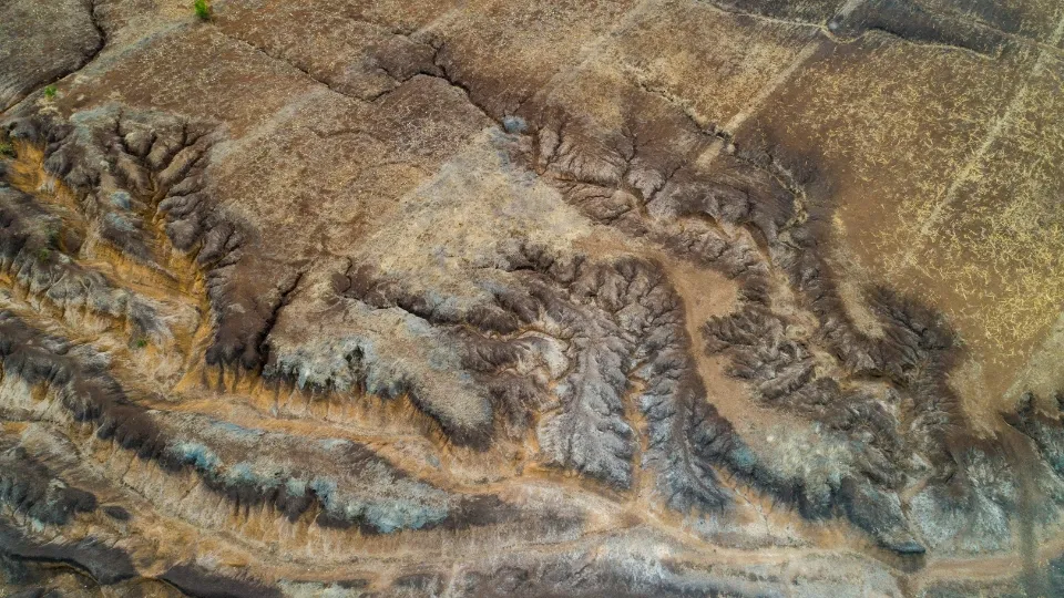 Marché local dans la vallée du Rift en Tanzanie