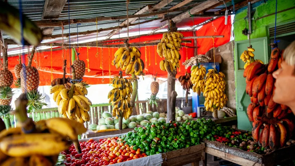 Plage de Zanzibar avec cocotiers et lagon peu profond