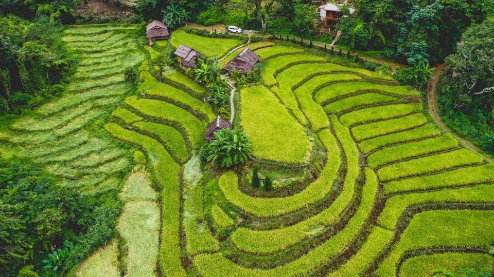 Marché local et vie quotidienne à Chiang Mai dans le nord de la Thaïlande