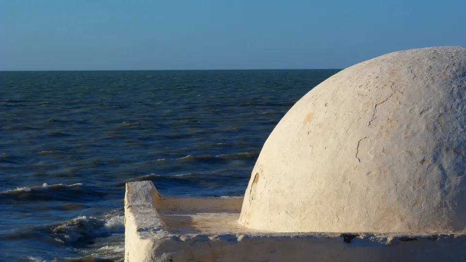 Plage de Djerba bordée de palmiers et de sable clair