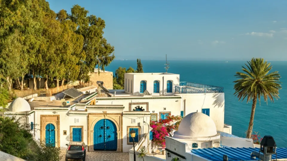 Vue générale sur Tunis, Carthage et le golfe de Tunis