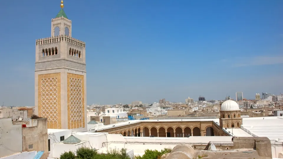 Scène de marché et vie quotidienne à Tunis